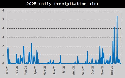 Daily Rain 2025 Report